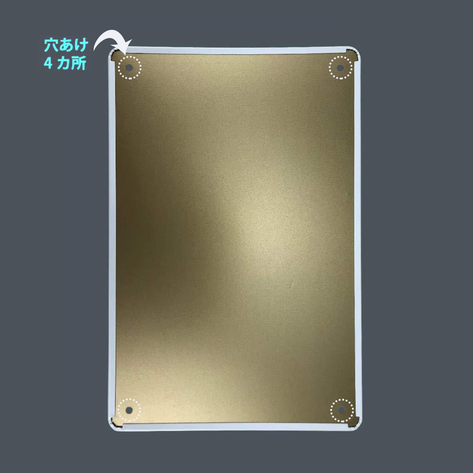 Amazon | 倉庫向けサイン 看板（ 消火器 FIRE EXTINGUISHER）プレート