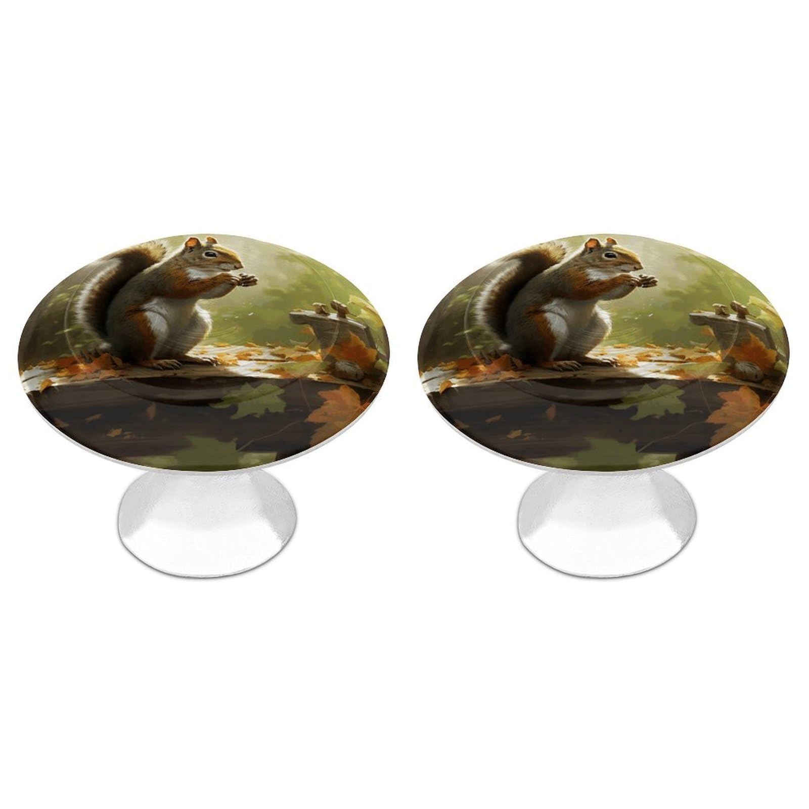 Fekiloot White Squirrel Eats Nuts Cabinet Knobs For Kitchen Ornament, Round Zinc Decorative Drawer Pulls For Cabinets Trendy, Dresser Drawers Pulls Bathroom Dresser Knob With Screw