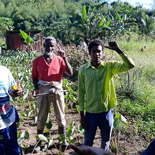 Farmers Voices We've Been Speaking About Covid For The Past Six Months.