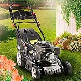 Equipamiento adicional: además, nuestro modelo potente, certificado por TÜV/GS, cuenta con un regulador de velocidad del motor, un ajuste central de la altura de corte de 6 niveles, 1 carril guía de altura ergonómica ajustable, 1 bolsa recolectora de césped de 60 litros con indicador de nivel de llenado y tecnología especial de agitación, el sofisticado sistema de limpieza Easy Clean, una cabina de servicio, 1 cepillo para peinar el césped y 1 carcasa de chapa de acero extremadamente resistente
