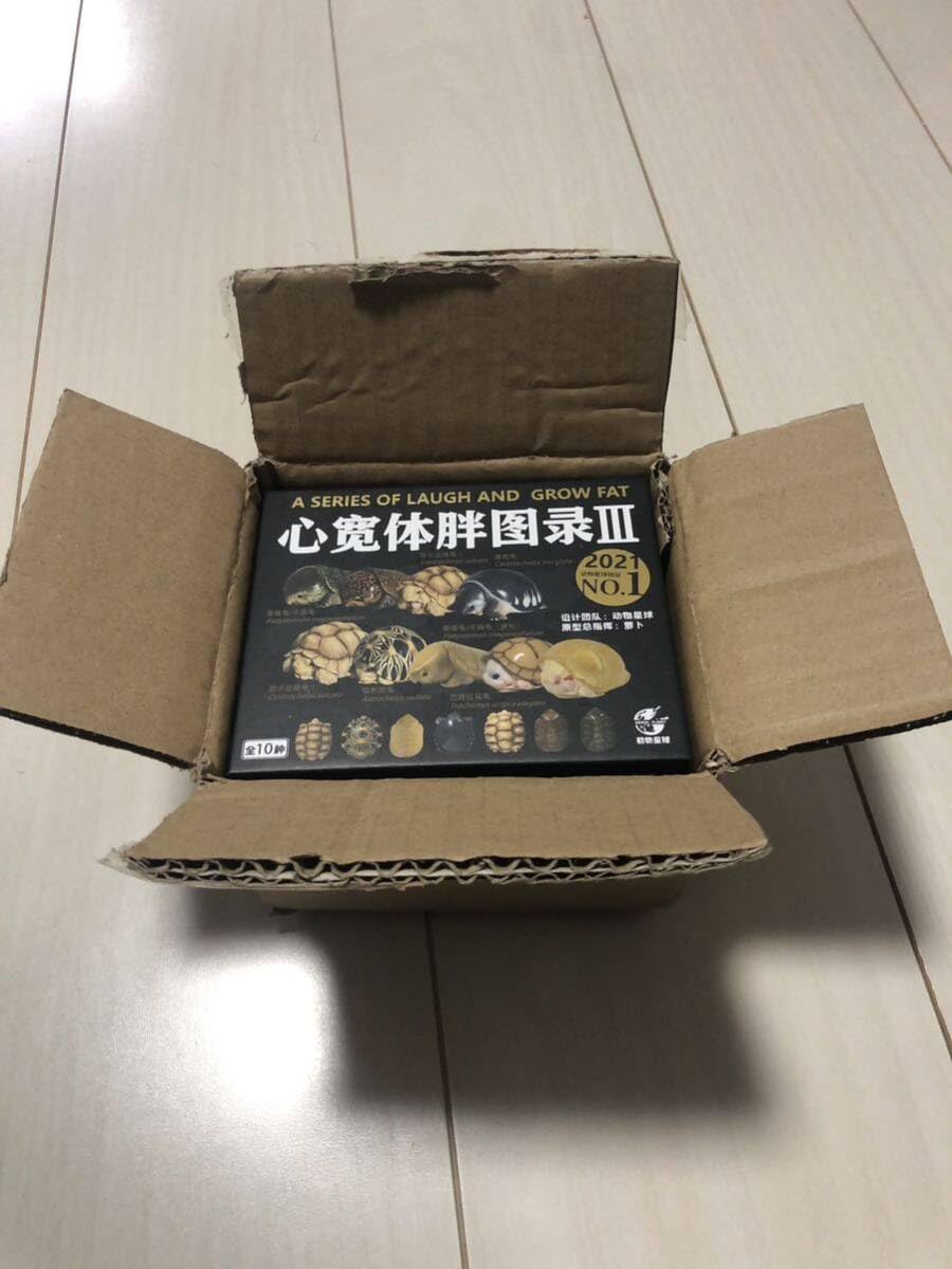 【動物の惑星】レア★スッポンモドキ★第3弾★廃盤!!フィギュア Amazon.co.jp: 廃番動物の惑星 スッポンモドキ 第3弾 動物星球 ANIMAL