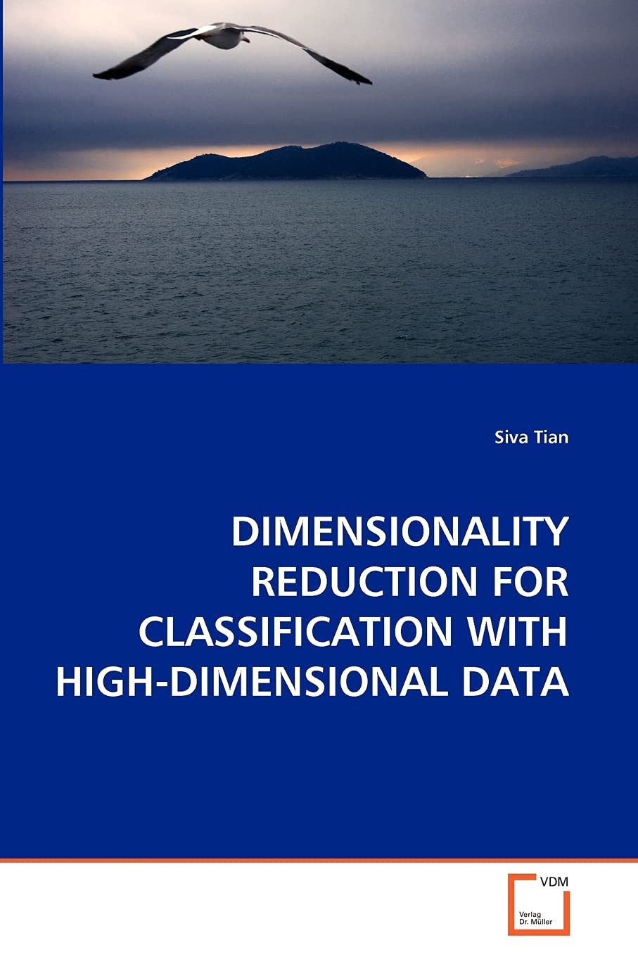 Amazon.com: DIMENSIONALITY REDUCTION FOR CLASSIFICATION WITH HIGH ...