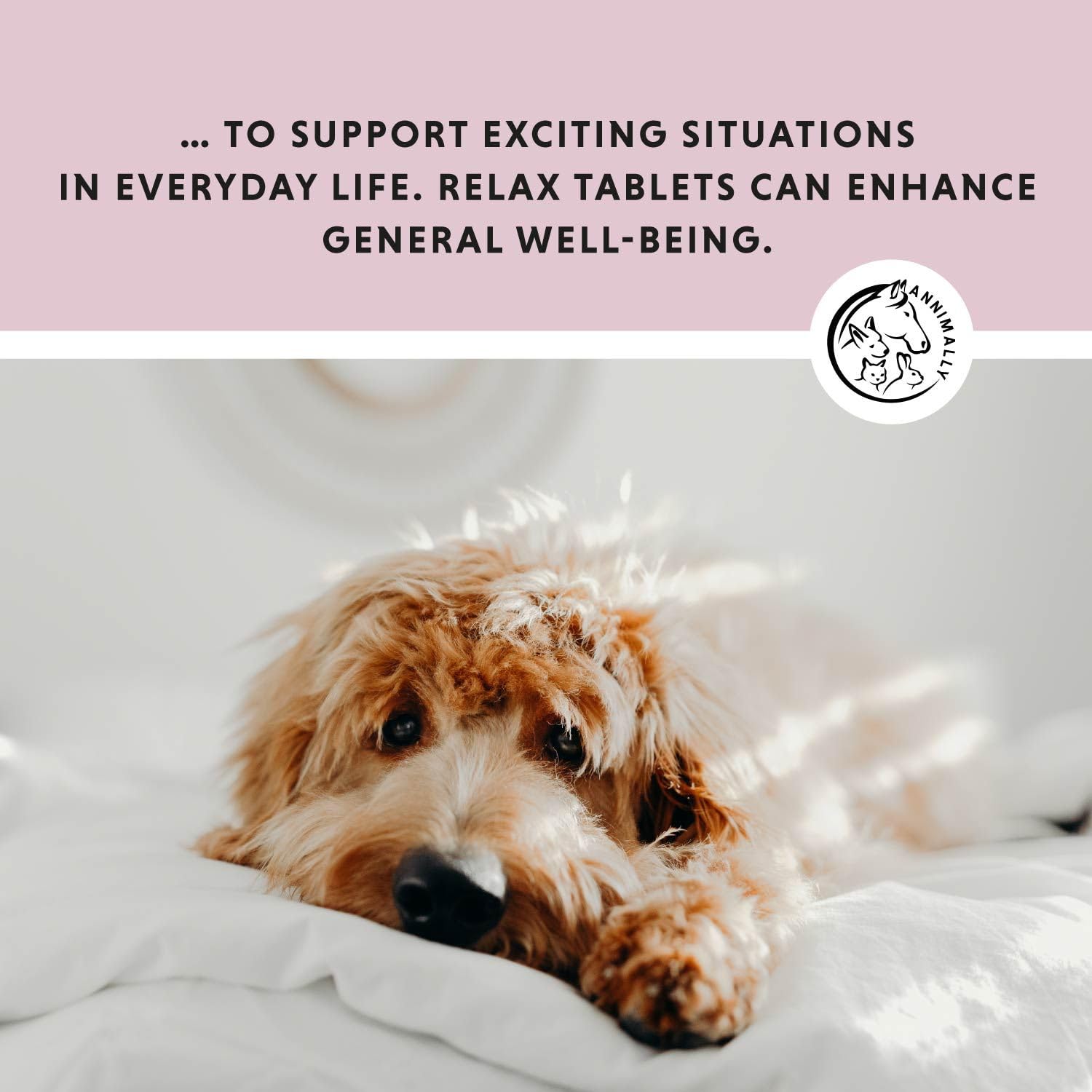 Annimally Dog Calming Tablets, Calming Supplement with Valerian & L-Tryptophan, Supports Relaxation, Stress & Anxiety - Image 2