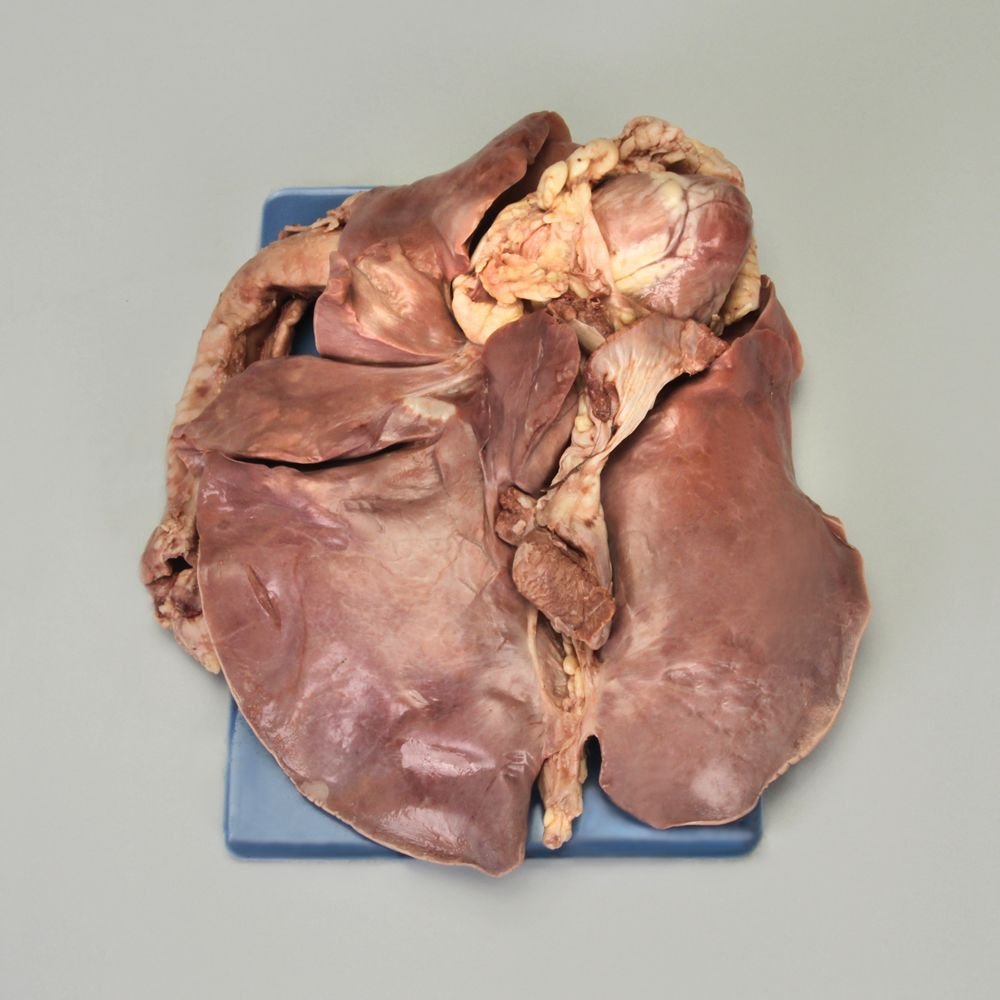 Carolina's Perfect Solution® Sheep Pluck, Plain, 1 Per Bag