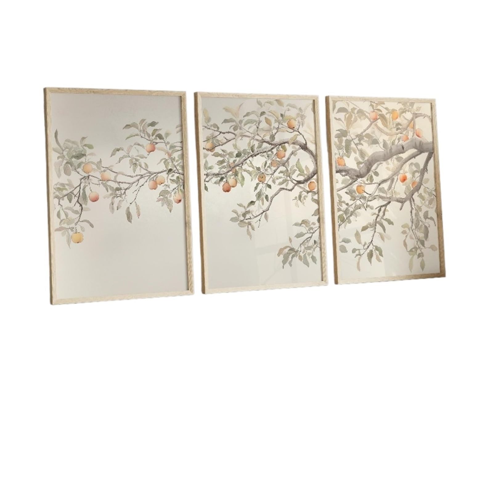 Graiting 3pcs Apple Tree Branch Wall Art Watercolor Painting Poster Botanical Print Still Life Triptych(40x50cm Unframe)