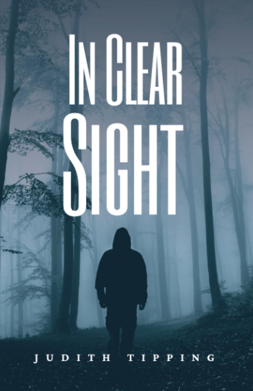 In Clear Sight (DCI STRAIN SERIES)