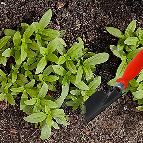 FADMAN Home Gardening Tool KIT (Garden Fork, Watering CAN, Small Trowel/Transplanter)