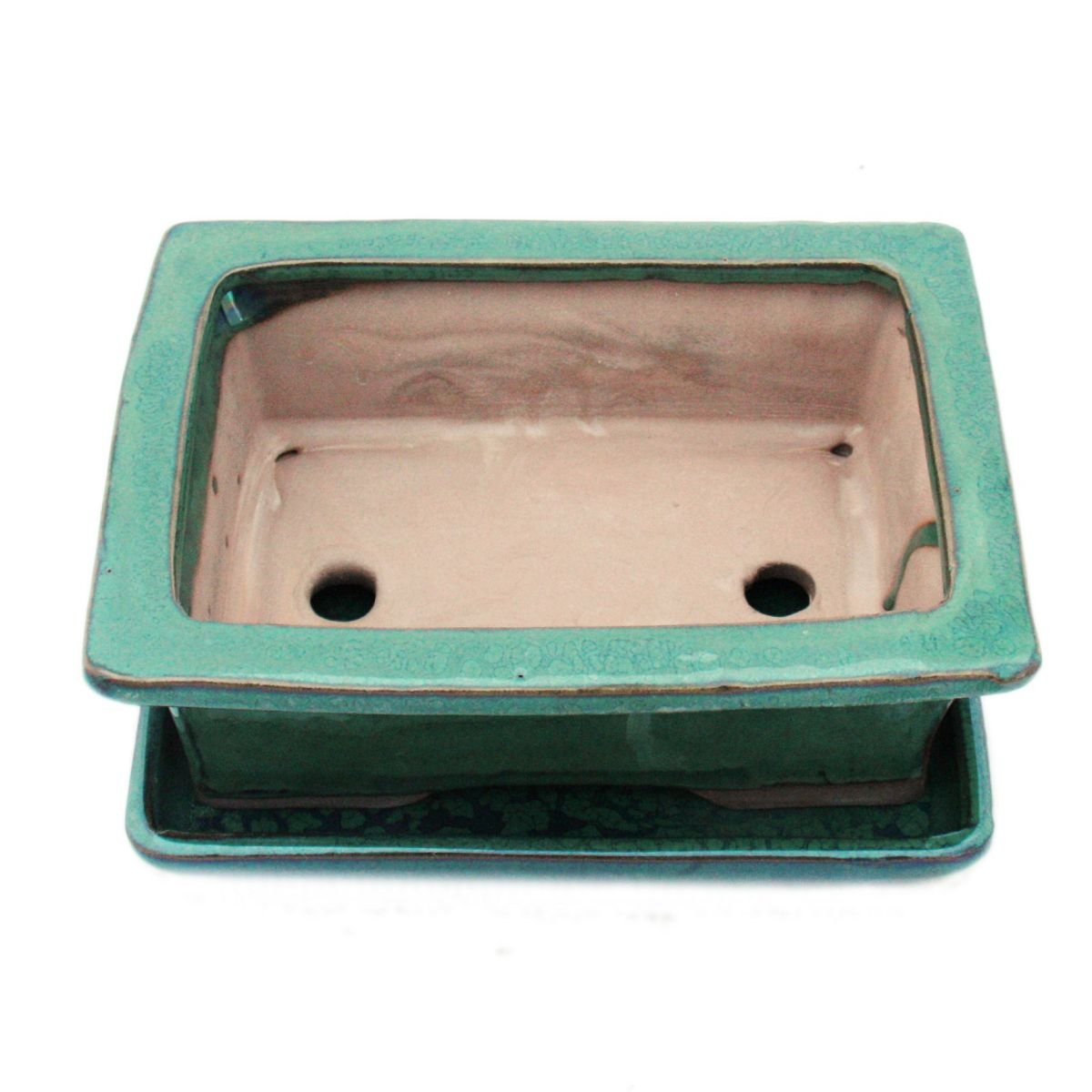 exotenherz - Bol à bonsaï avec soucoupe taille 3 - Vert - carré - Modèle G29 - L 18 cm - l 13 cm - H 6 cm