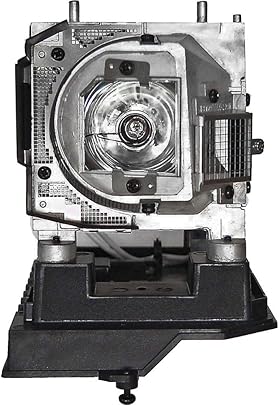 Viking NP19LP lampada per NEC U250X U260W Viking NP19LP lampada per NEC U250X U260W