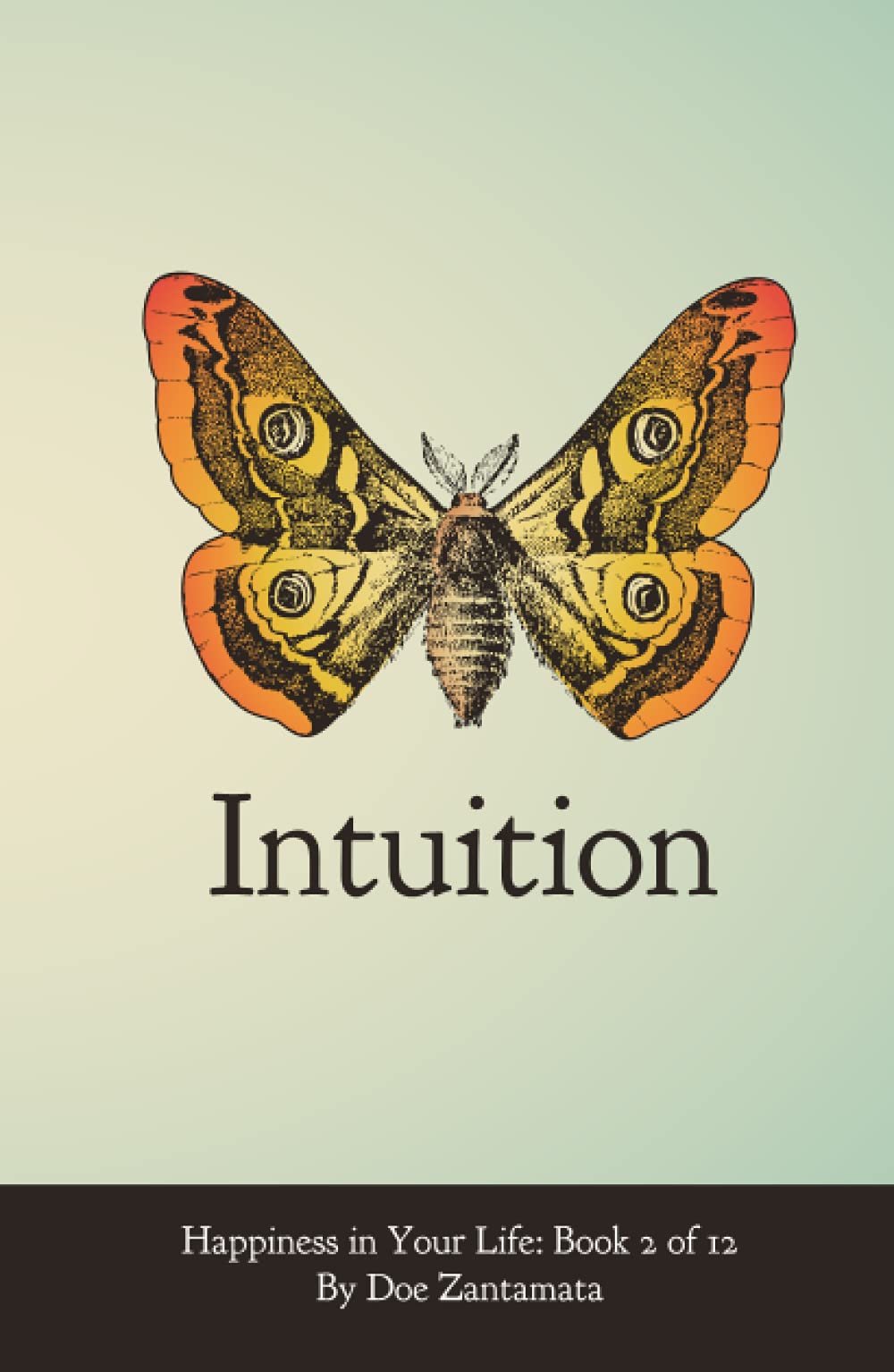 Happiness in Your Life - Book Two: Intuition