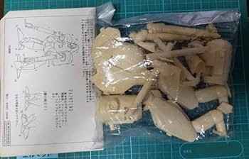 Amazon.co.jp: レジン キャスト キット 1/48 パトレイバー セルキーH10
