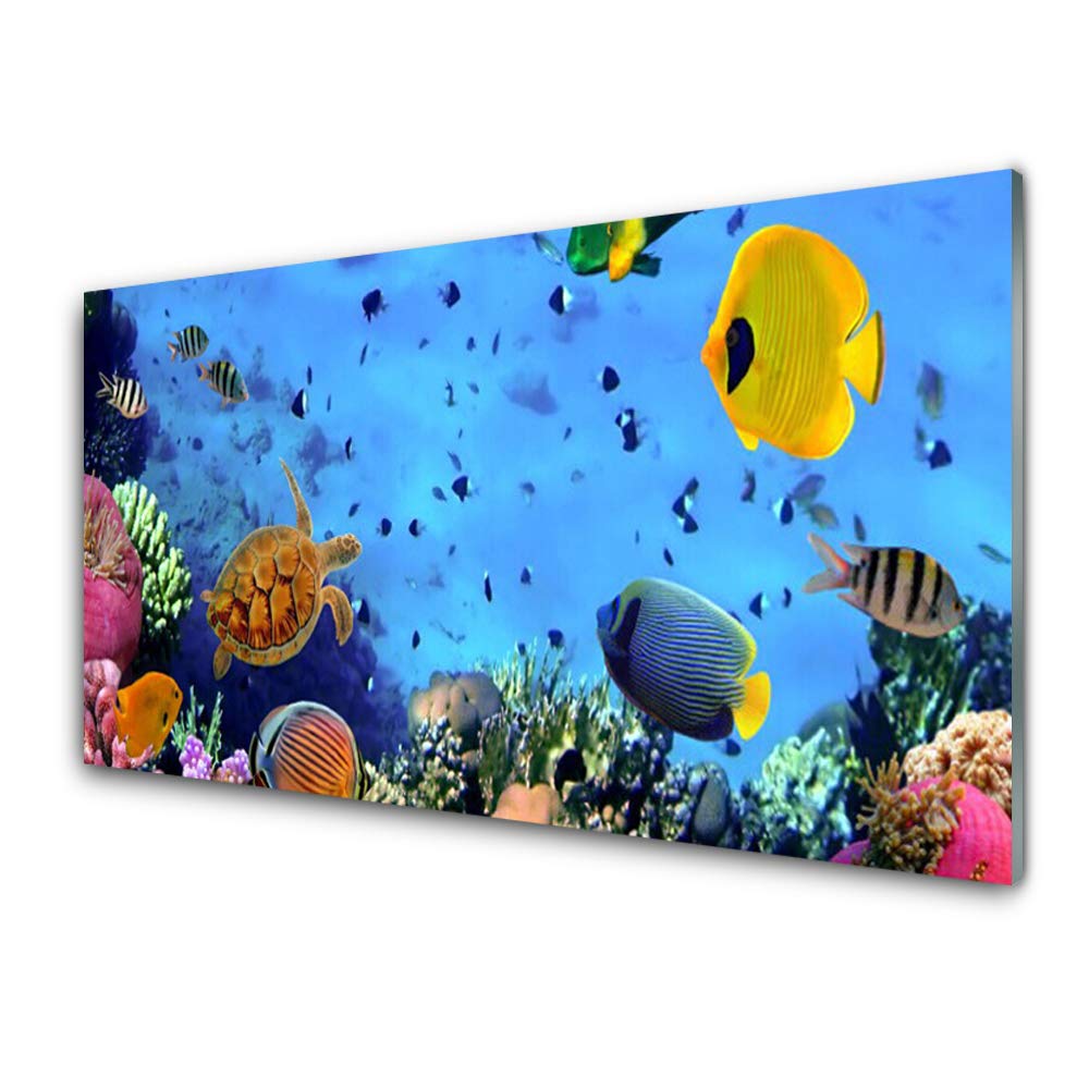 Impression sur verre trempé 100x50cm décoration murale design poisson corail