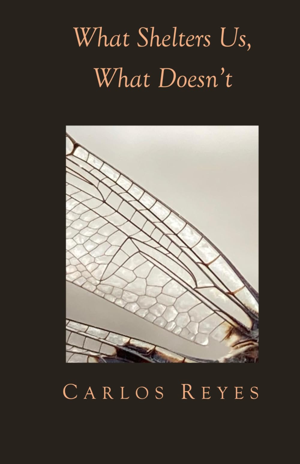 What Shelters Us, What Doesn’t