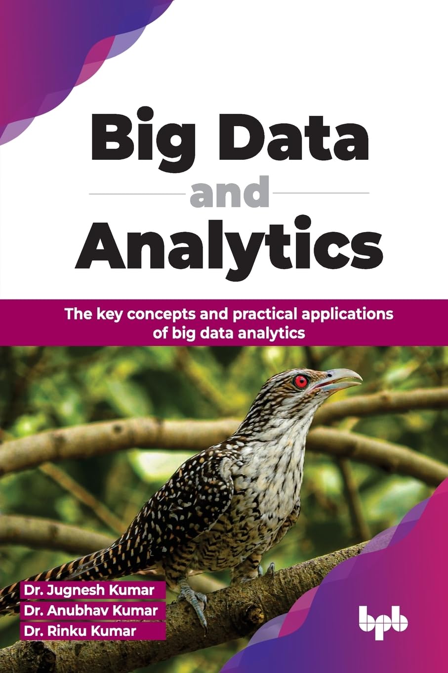 Amazon.com: Big Data and Analytics: The key concepts and practical ...
