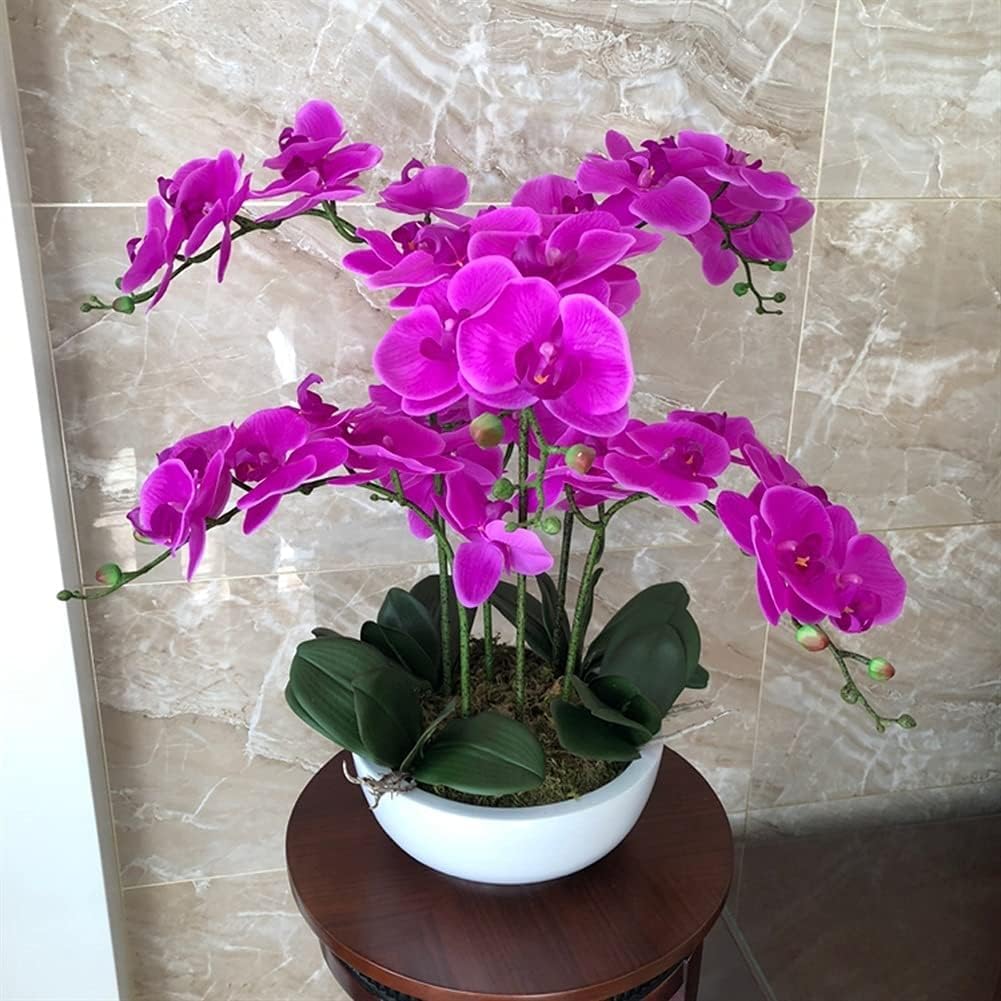 Orchidée Artificielle avec Vase Fleurs de phalaenopsis artificielles Colle au Toucher Fleur Artificielle 53 cm Fausse Fleur Maison Fausses orchidées Fleurs artificielles