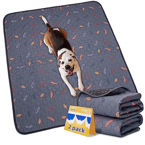 Image of Sunheir Washable Pee Pads for Dogs Large 48 inch x 48 inch 2-Pack Reusable Puppy Pads Pet Training Pads, Absorb Dog Mats, Whelping Pad, Non-Slip Protects Against Urine Leakage (Leaves - Deep Grey, 48x48)