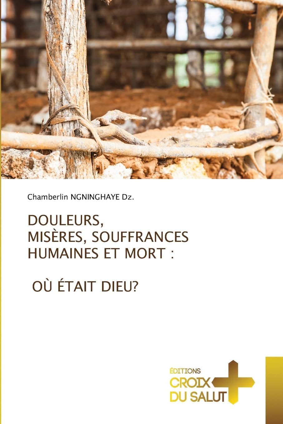 DOULEURS, MISÈRES, SOUFFRANCES HUMAINES ET MORT : OÙ ÉTAIT DIEU?