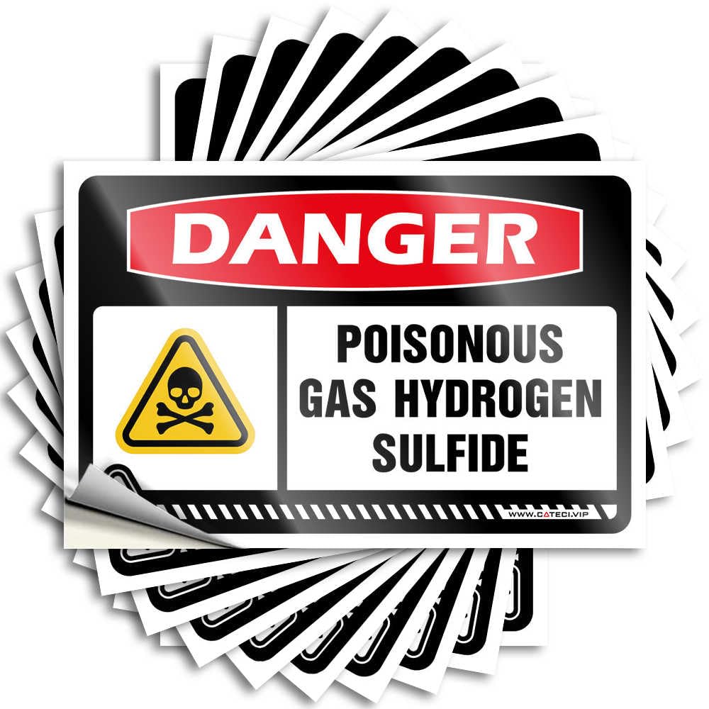 Accent Tattoo Aesthetic Decals, Teens Stuff Cute Pattern Design for Layered Notebook | Hat Removable Vinyl Danger Poisonous Gas Hydrogen Sulfide(12X18CM)