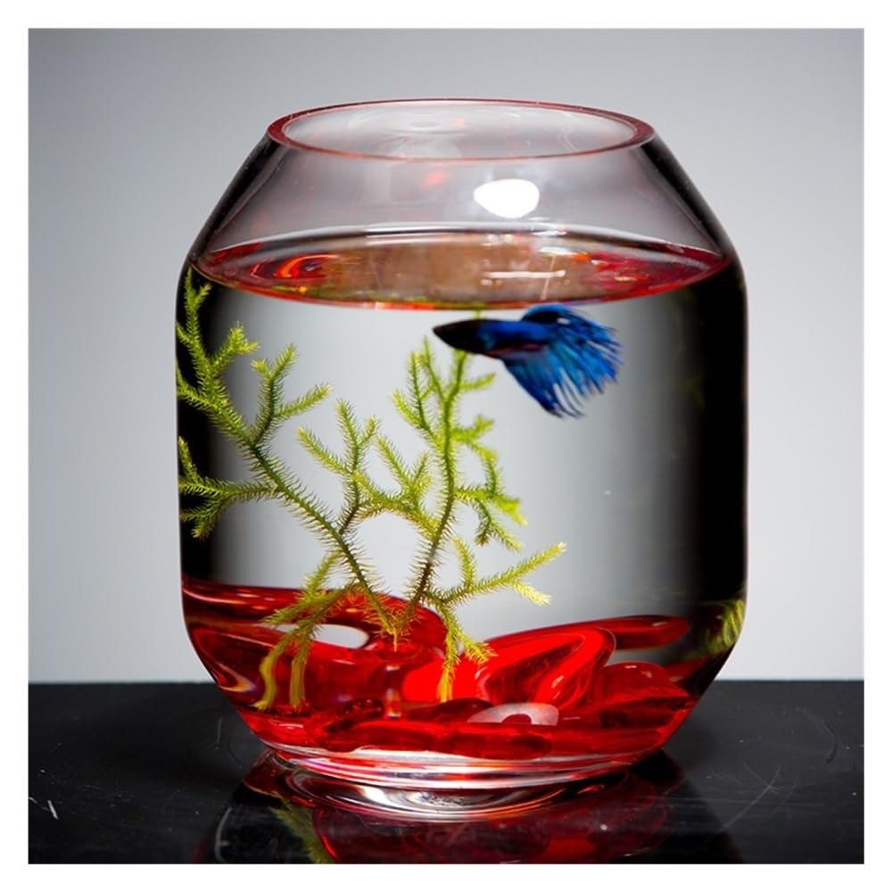 Aquarium Transparentes Glas-Aquarium, kleines Zuchtbecken, dekoratives Mini-Aquarium for Wohnzimmer, Schreibtisch oder Wohnzimmer