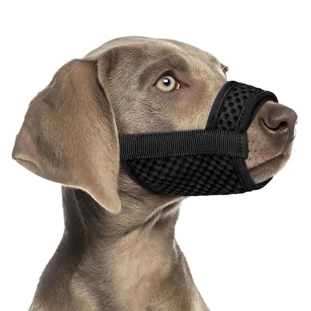 XFSRG Bozal para Perro Mediano Diseño Moderno para Mayor Comodidad Y Seguridad (Negro, S)