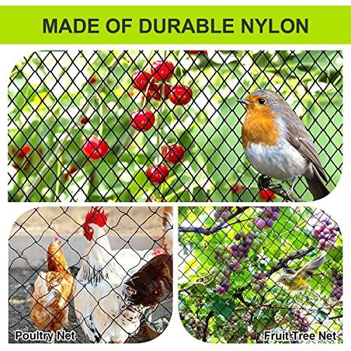 Bird Netting For Chicken Coop, 50’ X 50’ Poultry Netting With 1” Square Mesh Bird Net For Garden Protection, Heavy Duty Nylon Garden Mesh Netting For Fruit Tree Against Aviary, Deer, Squirrel #TOP1