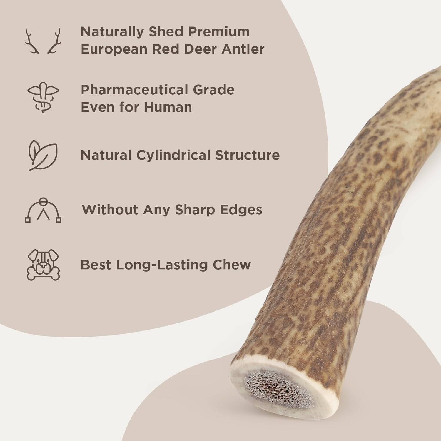 Premium Deer Antlers for Dogs – Natural Dental Chew for Aggressive Chewers – Long-Lasting Antler Chews, Odor-Free, Mess-Free, 1 Count (Jumbo)