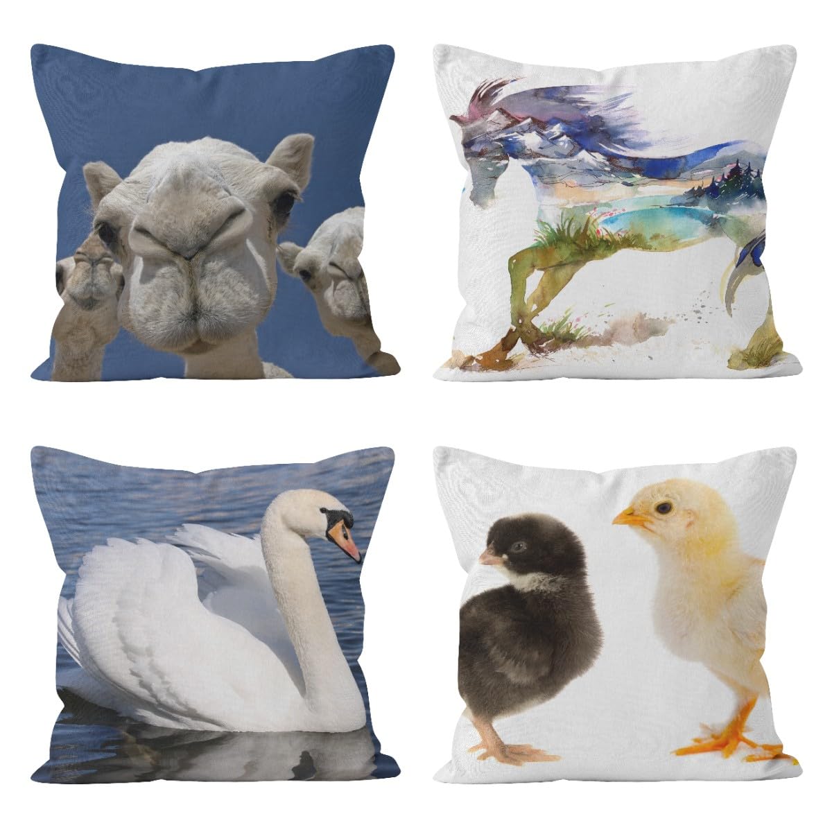 Linge housses de coussin 50x50cm CEVAN pour protéger et raviver vos vieux oreillers