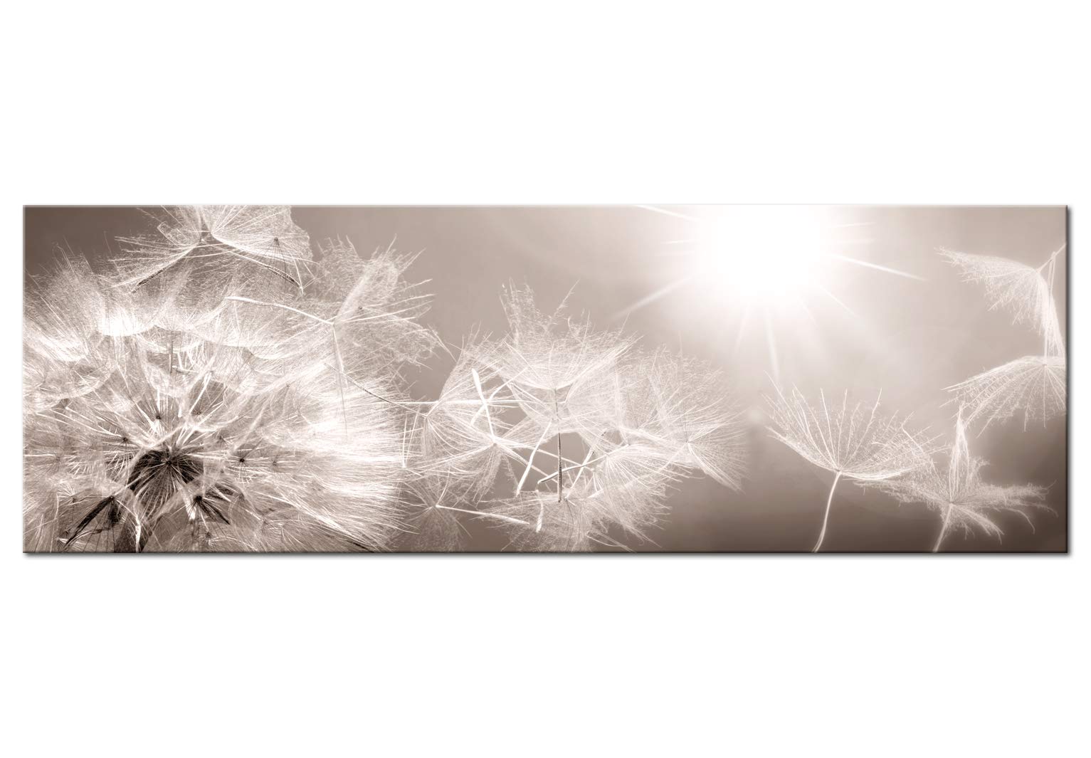 murando - Leinwandbild Blitz Pusteblumen Natur, 150x50 cm, 1-teilig, modern | Hochwertige Leinwand, sofort aufhängbar, ideal fürs Wohn- oder Schlafzimmer, wasserfest und lichtecht, langlebig, stilvoll