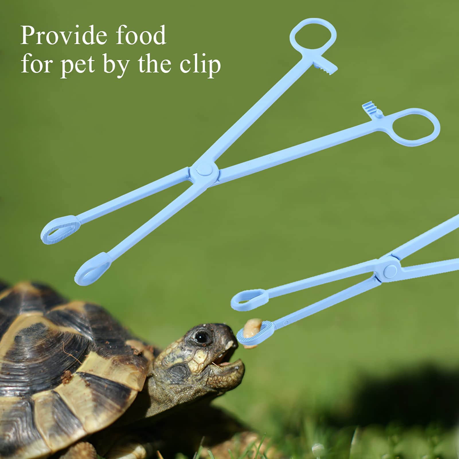 Clamp/Holder de Mascotas de Plástico Azul para la Alimentación de Reptiles - Clamp/Holder de Serpientes y Lagarto Duradero para Fácil Alimentación