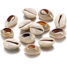 500pcs Gray 20mm Natural Spiral Shell Beads Smooth Cut Oval Beach Seashells Cowrie Shell Loose Spacer Beads Charms No Hole for Beach Ocean Summer Bracelet Necklace Jewelry Making