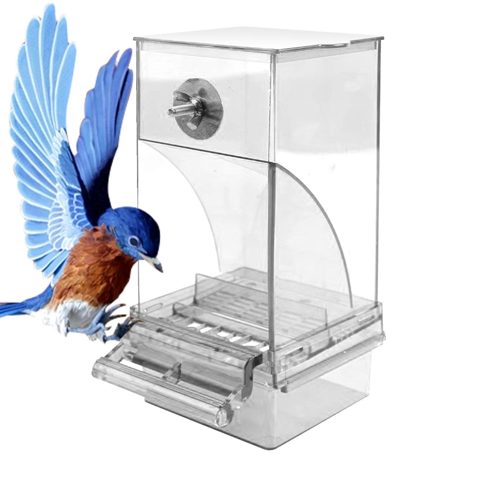 Jaula de pájaros acrílica transparente con comedero automático de loros para jardín