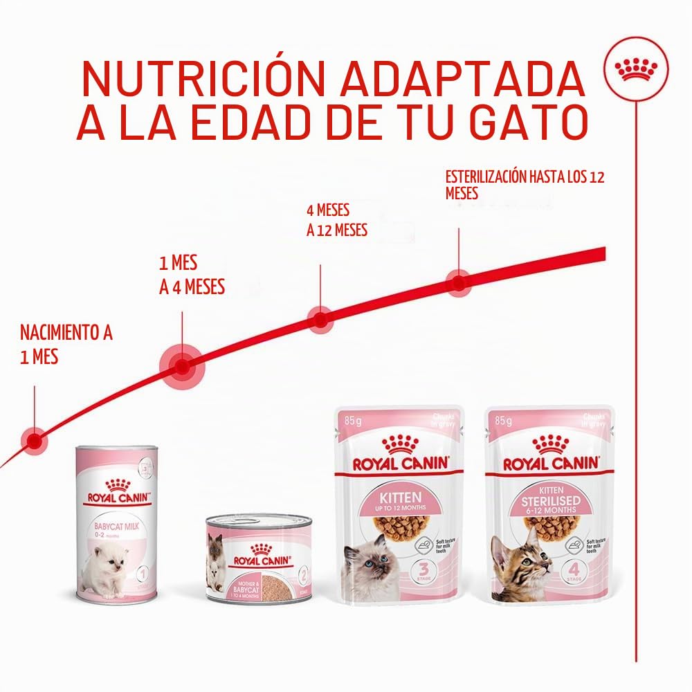 Royal Canin Mother & Babycat Mousse | 12 x 195 g | Alimento Completo para Gatos | Especialmente para la Gata Madre y Sus Gatitos | para apoyar Las defensas Naturales