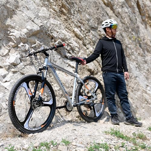EUROBIKE 29
