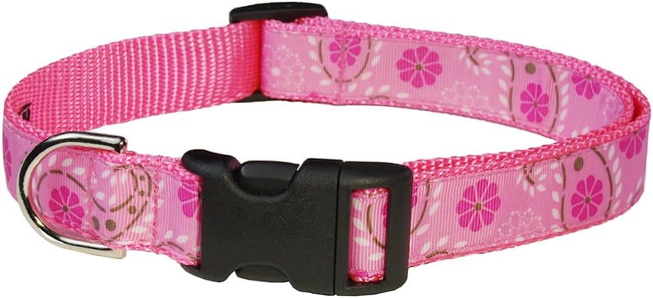Sassy Dog Wear 18-28-Inch Pink Pretty Paisley Dog Collar, Large
