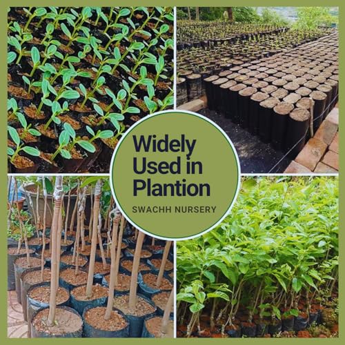 Image of Groot Nursery Bags for Plants (Small, 4 x 6 Inches, Pack of 150, Black) UV Protected Poly Grow Bag Plastic Plant Bag for Home Garden, Flower & Vegetables - Reusable & Durable for Home & Commercial Use
