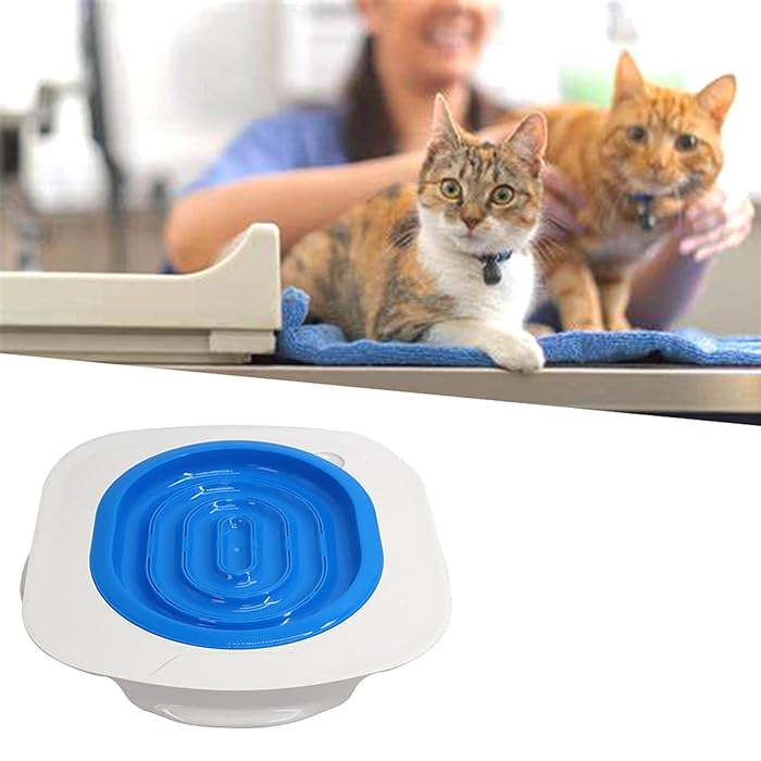 Buy Cat Toilet Training Kit,Toilet Training for Cats,Professional Kitty Toilet Trainer Urinal