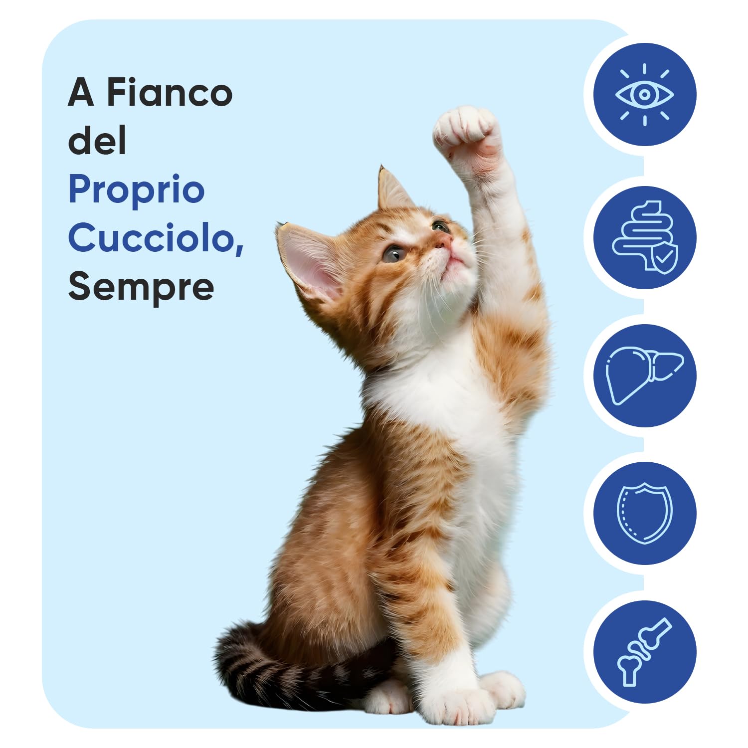 Vitamine Gatto con Minerali in 365 Compresse, 220mg per Dose Giornaliera, Vitamine Sistema Immunitario A, B, C, D3, E per Raffreddore Gatto con Calcio, Ferro, Zinco, Rame, per Tutte le Razze e Età