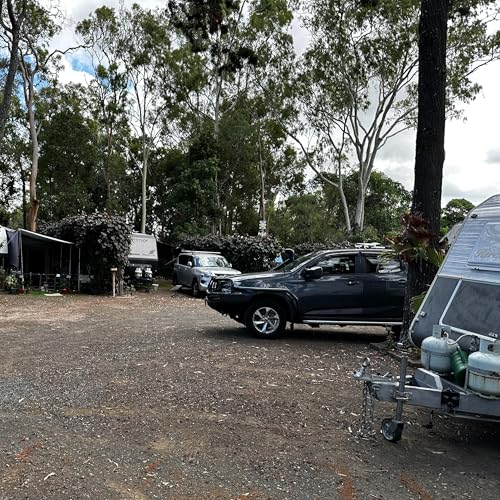 Escaping the Mayhem: Bernie's Story