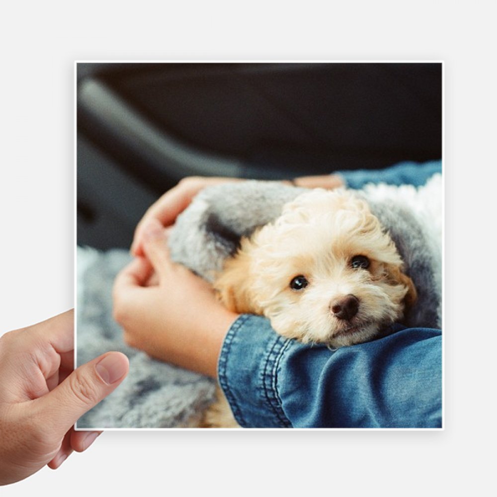 Autocollant animal avec impression de photographie de chiot mignon