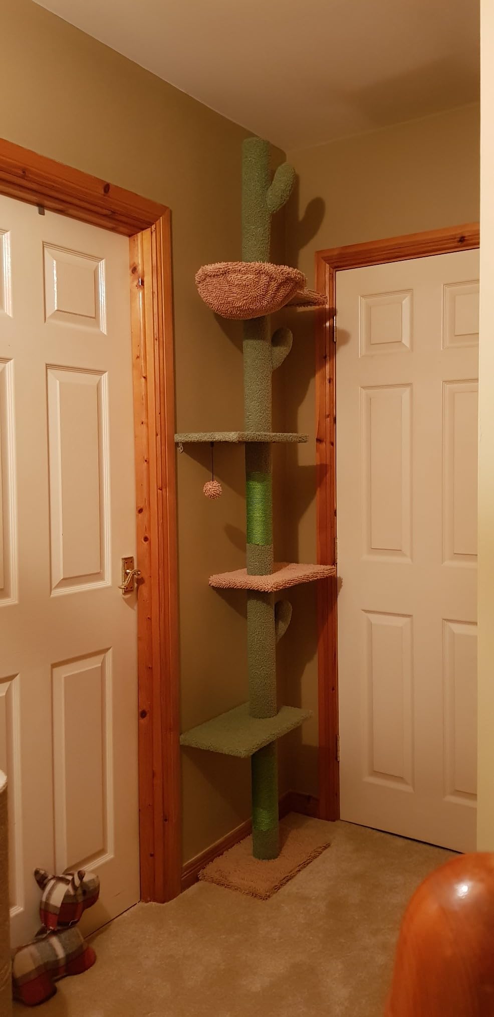 Customer photo