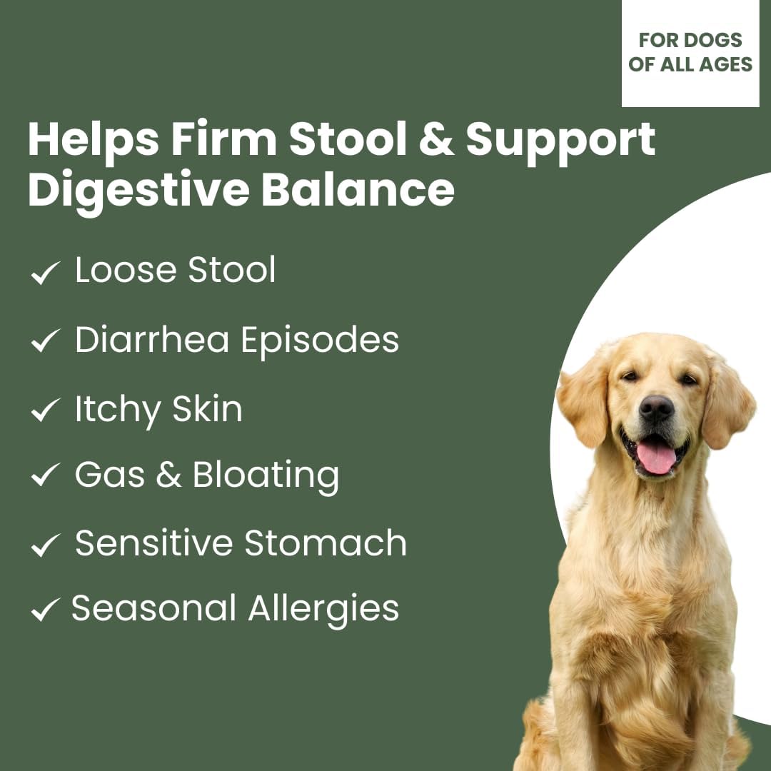 Dog Probiotic Powder for Digestive Support | 5 Billion CFU | Gut Health & Immunity Support | Mix-in Powder | 60g | Unflavoured (60g)