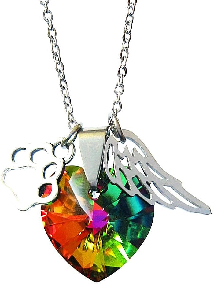 Rainbow Bridge Paw Print and Angel Wing Stainless Steel Necklace with Colorful Crystal,Pet Loss Memorial Gift in Memeroy of Pet