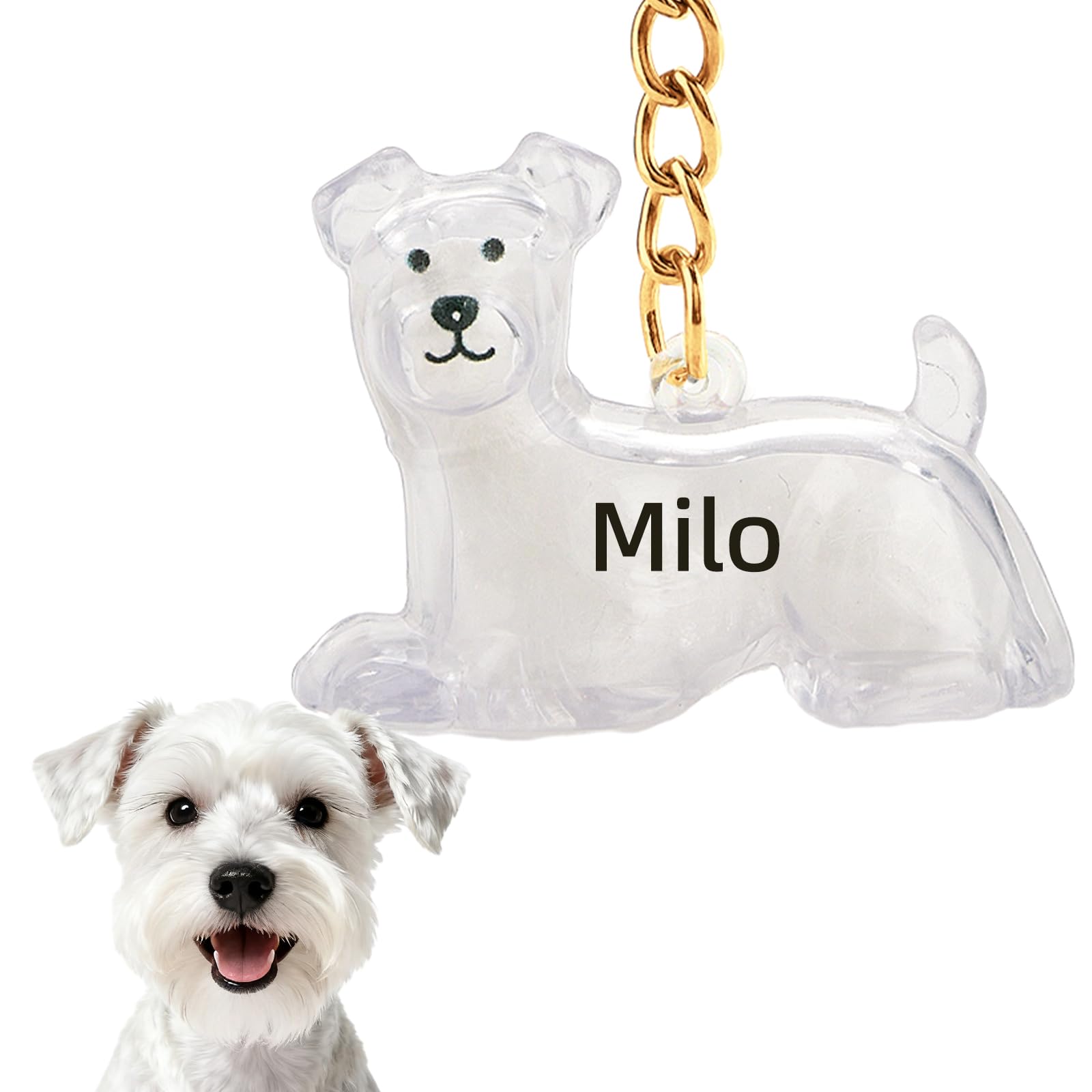 VEELU Dog Hair Collector Keychain Charm Memorial Storage Box - Custom Dog Hair Keychain with Name - Personalised Pet Fur Keepsake - Customised Dog Memorial Gifts for Loss of Dog