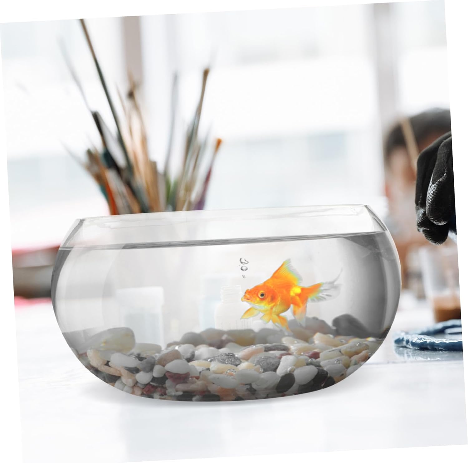 Glass Fish Bowl for Hydroponic Plants and Round Decorative Aquarium for for Turtles and Miniature Water Gardens