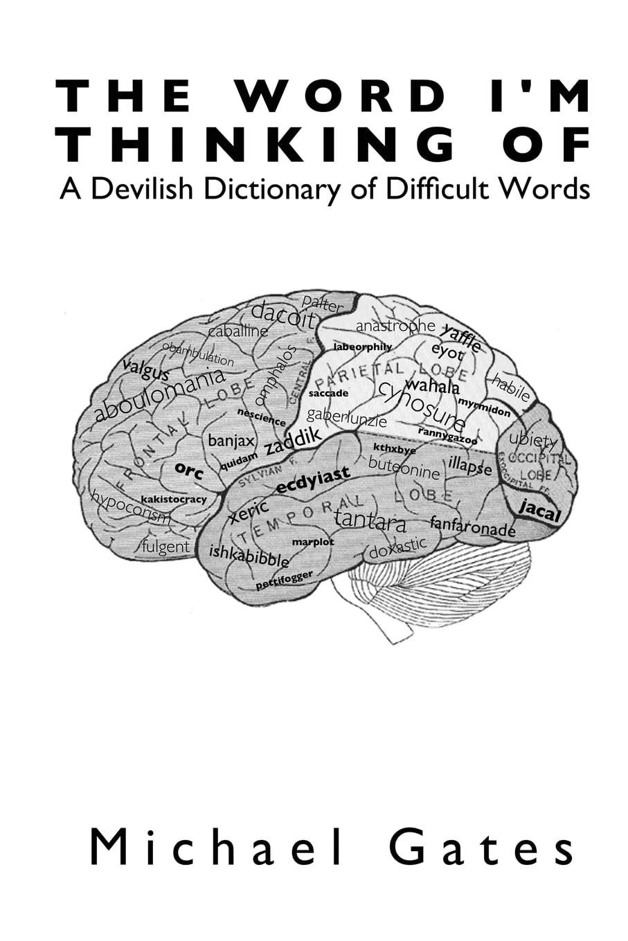 The Word I'm Thinking Of: A Devilish Dictionary of Difficult Words