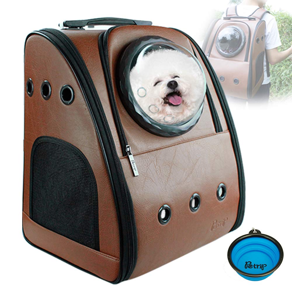 cat backpack carrier hiking