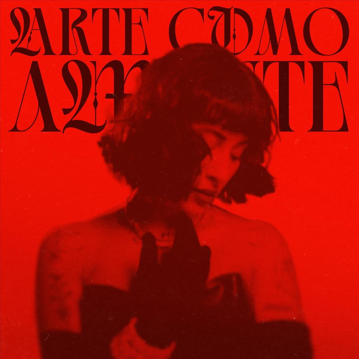 PAGANOTTO, Indira - Arte Como Amante - Vinyl (LP)