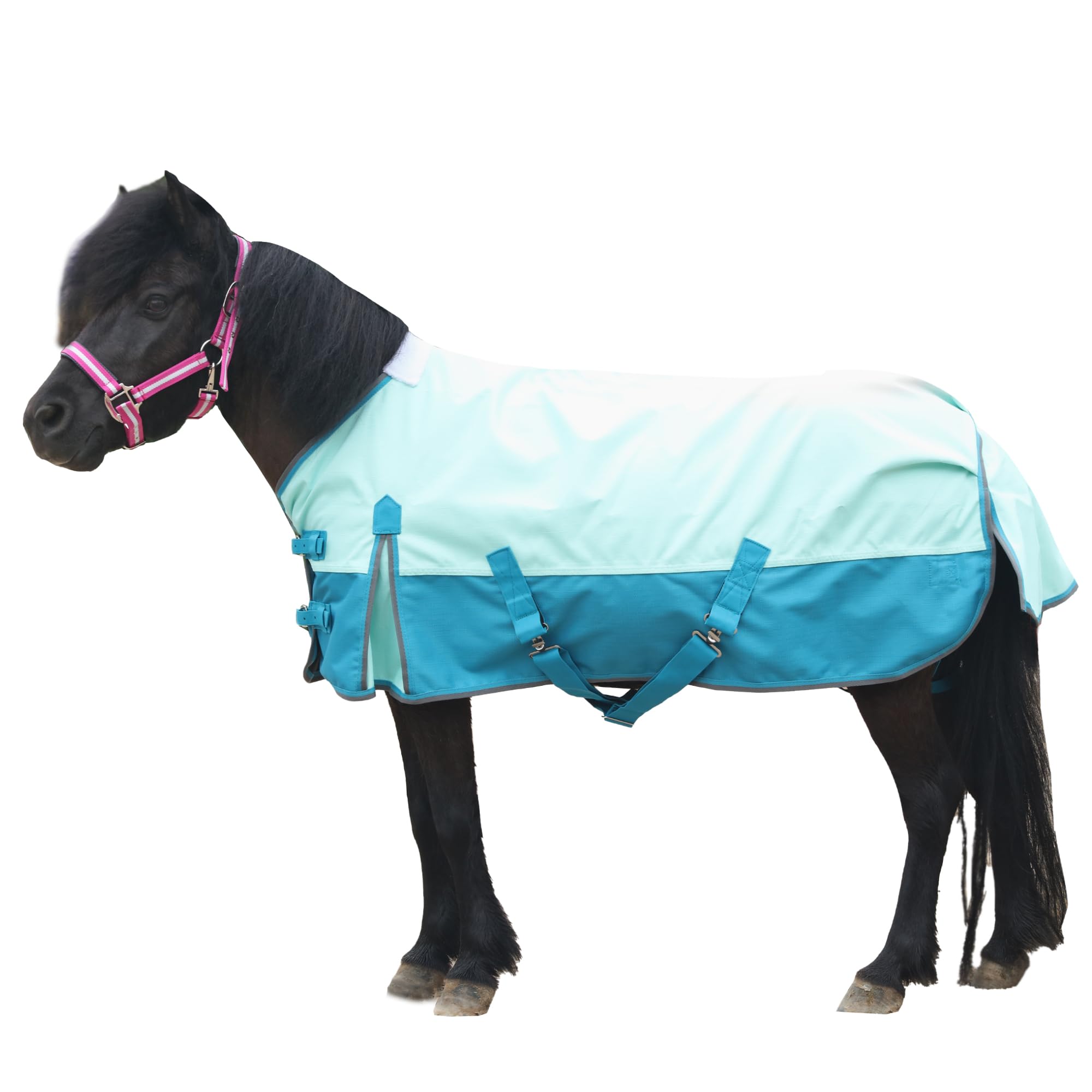 Leberna Pony Turnout Rug, 1200D Waterproof Lightweight Rain Sheet for Miniature Shetland Foal Donkey and Section A (No Fill) (Turquoise, 3'6")