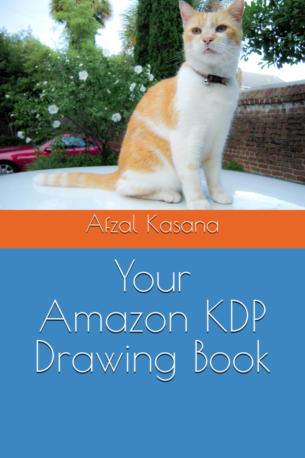 Your Amazon KDP Drawing Book