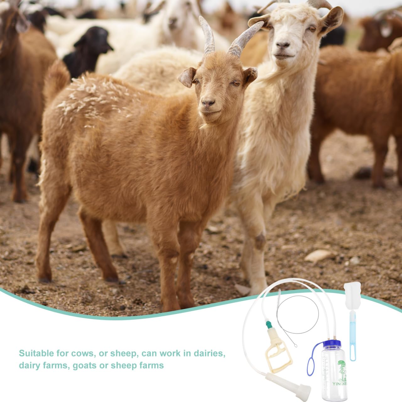 Mipcase Machine À Traire Manuelle Pour Vaches Et Moutons Kit Portable De Traite Avec Bouteille Transparente Facile À Transporter Et À Nettoyer Pour Fermes Laitières Et Élevage